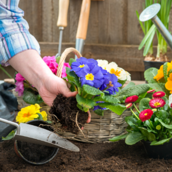 Garden Supplies