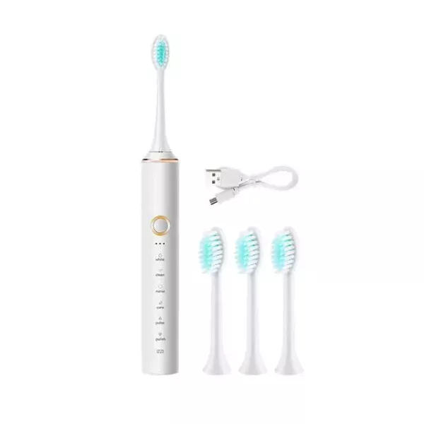 Advanced Sonic Electric Toothbrush with Timer